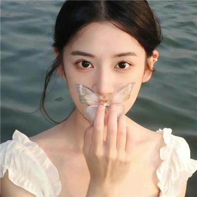 喵星人的奇思妙想